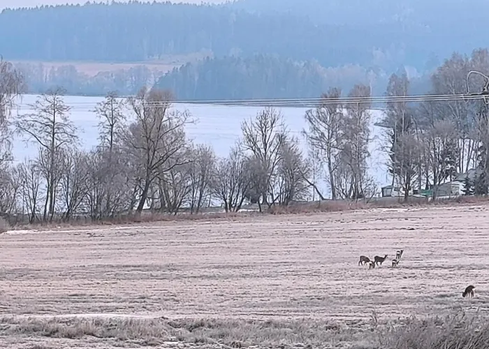 Narozi Prazdninovy Dum Lipno *